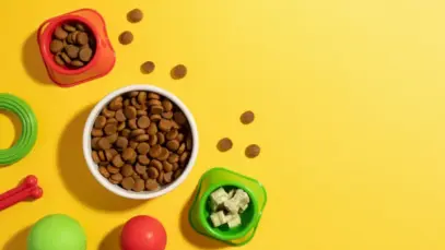 Leste Europeu se consolida como polo de investimentos no setor de pet food