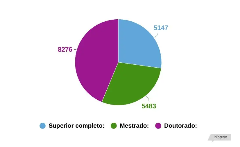 modelo-panorama-petvet (2)
