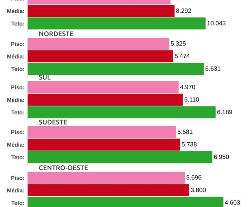 modelo-panorama-petvet