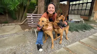 Nestlé Purina consolida novo ciclo de crescimento no Brasil