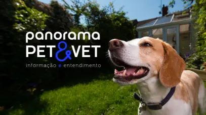 Panorama Pet&Vet anuncia sua nova identidade