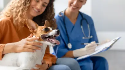 Planos de saúde pet acendem alerta sobre sustentabilidade