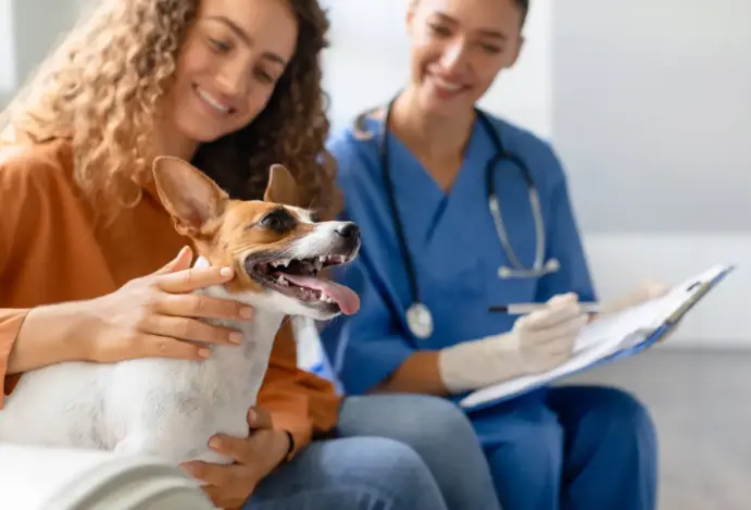 Planos de saúde pet acendem alerta sobre sustentabilidade
