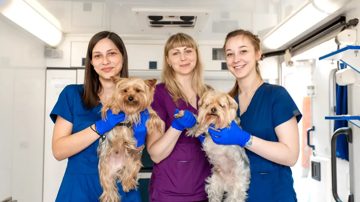 Vet Connection estreia em Porto Alegre com foco em inovação