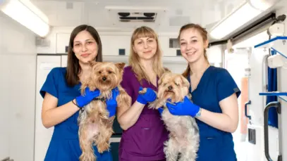 Vet Connection estreia em Porto Alegre com foco em inovação