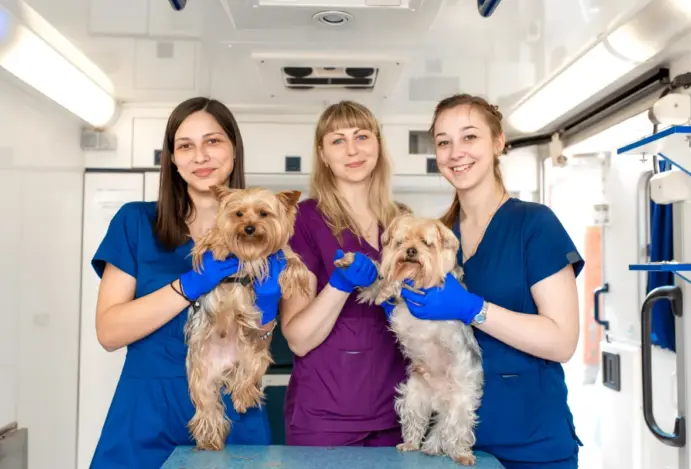 Vet Connection estreia em Porto Alegre com foco em inovação