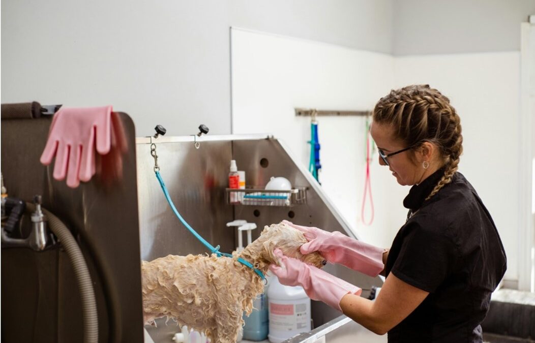 Dicas para a Black Friday