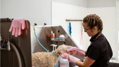 Dicas para a Black Friday