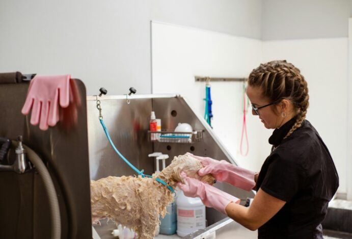 Dicas para a Black Friday