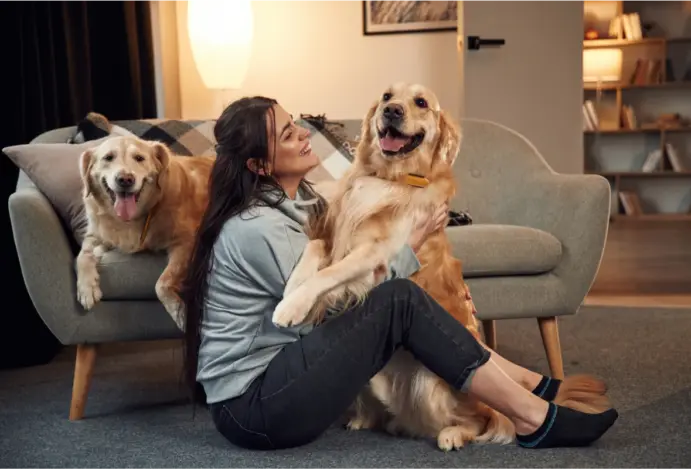 Casas Bahia e MAPFRE passam a oferecer proteção para pets