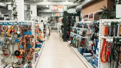 Analisar a concorrência: um passo estratégico para o crescimento das lojas pet