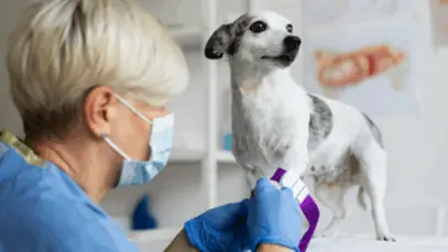1º Centro Público de Oncologia Veterinária do Nordeste