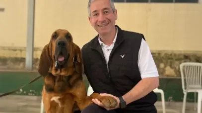 Ecossistema da Intensivet integra ensino, TI e suporte clínico