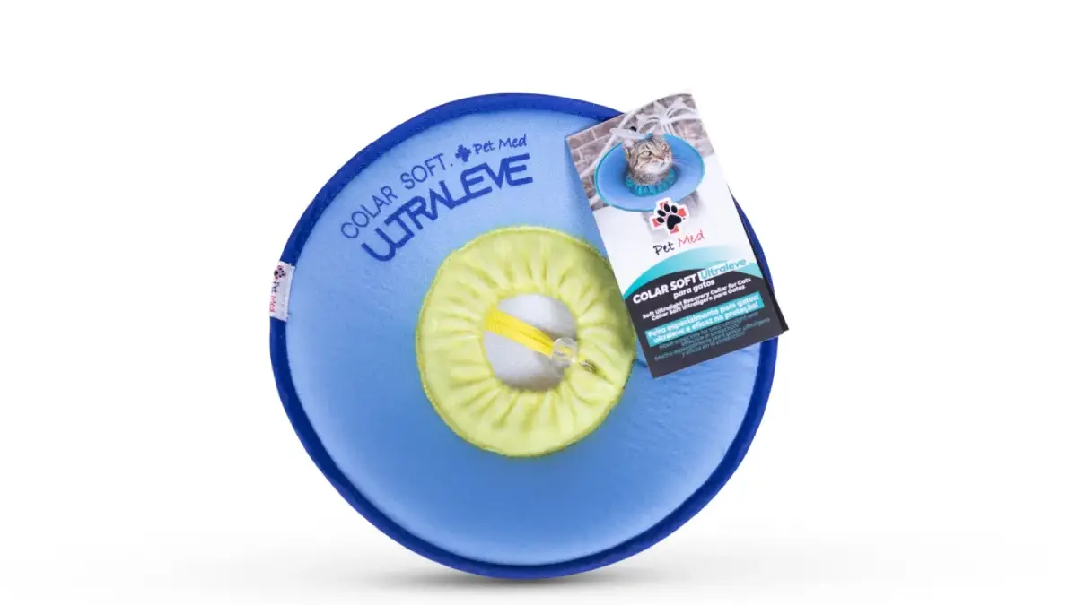 Pet Med aprimora tratamento e pós-operatório em gatos