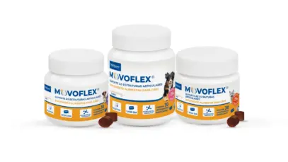 Virbac aposta em suplemento para articulação de cães