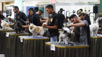 Petnor 2025 prevê mais de R$ 60 milhões em negócios