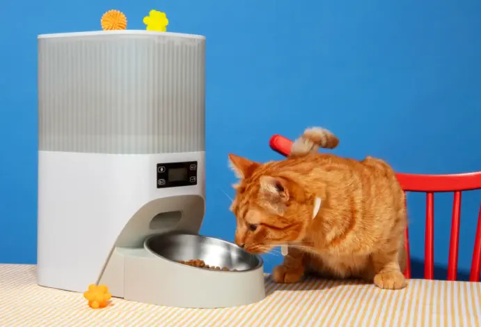 Vendas de produtos pets impulsionam marketplaces