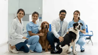 Distrito Federal aprova Farmácia Veterinária Popular