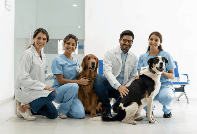 Distrito Federal aprova Farmácia Veterinária Popular