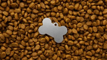 Expansão global acelera investimentos no mercado pet