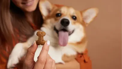Manipulação veterinária é tema de curso do Sincofarma-SP