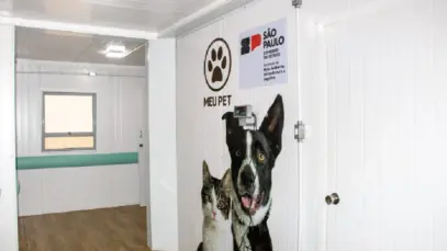 São Paulo amplia atendimento veterinário com pet contêineres
