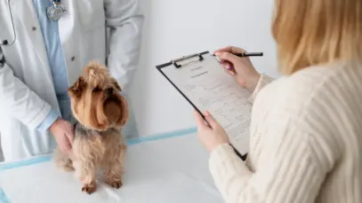 A falha silenciosa que compromete o atendimento