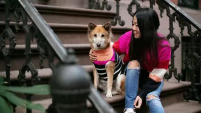 Cinco modelos do varejo pet chinês que podem inspirar o mercado brasileiro