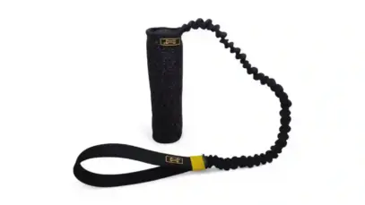 Amorosso alivia a ansiedade e estimula atividade física de cães