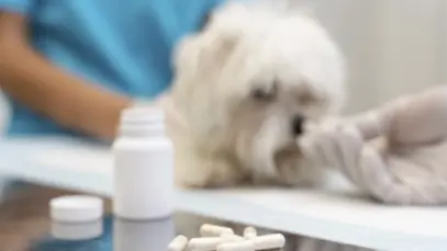 falsificação de medicamentos