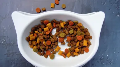 Inovação em pet food desacelera e pressiona indústria