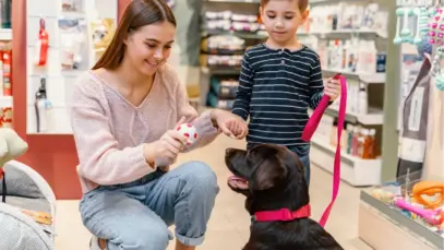 Pequenos negócios dominam 97% do varejo pet em São Paulo