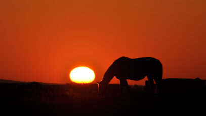 Descoberta desses padrões agora pode ganhar escala industrial com a IA | Foto: Freepik - lucasalis