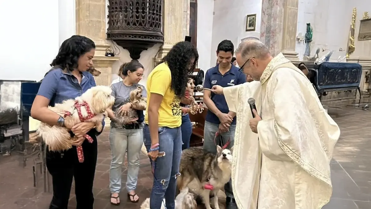 Padre abençoando cães com água benta