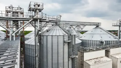 Paraná consolida-se como polo estratégico do mercado pet