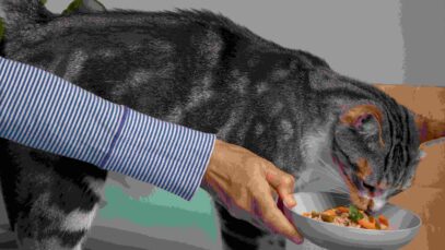 Cada organismo pode reagir de forma diferente aos mesmos alimentos / Foto: Freepik