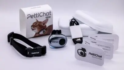 Startup chinesa lança coleira com IA que traduz sons de pets em linguagem humana em 1,2 segundo. Saiba como funciona o PettiChat.