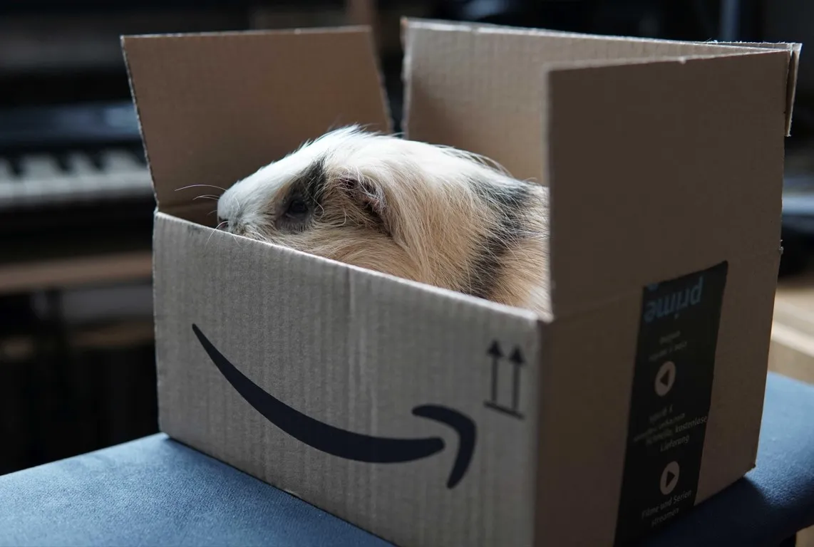Amazon cria rede de logística para atender empresas