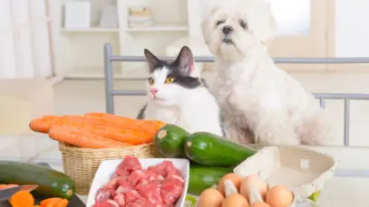Estudo com 8.800 tutores revela que dietas à base de carne dominam alimentação de pets. Saúde supera sustentabilidade.