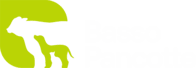 Basso & Pancotte Ltda