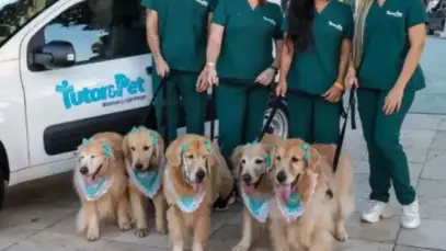 Unimed entra no mercado pet com plano veterinário 24 horas