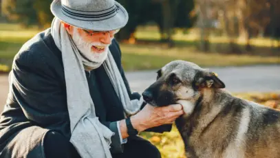 Geração de pets da pandemia entra na meia-idade e amplia alerta para saúde preventiva