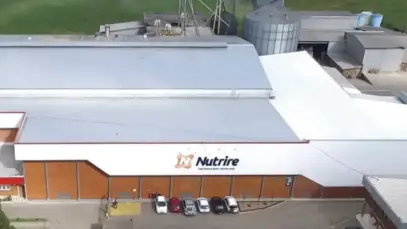 Gigante japonesa entra no mercado pet brasileiro com aquisição da Nutrire