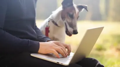 Indústria pet acelera debate sobre inteligência artificial, mas adoção ainda avança em ritmos diferentes
