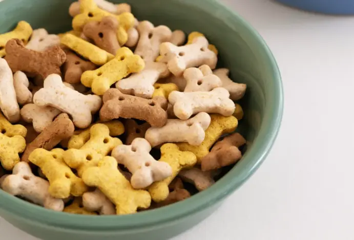 Mercado pet amplia aposta em alimentos multifuncionais diante de consumidores mais exigentes