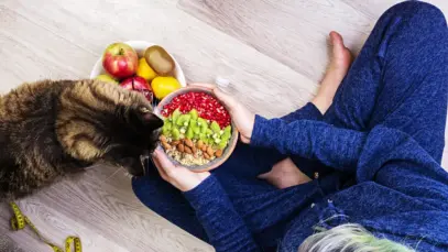 Mercado de alimentação natural para pets deve mais que dobrar até 2033