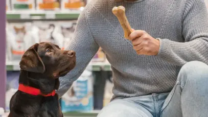 Pequenos negócios do mercado pet crescem 22% em dois anos