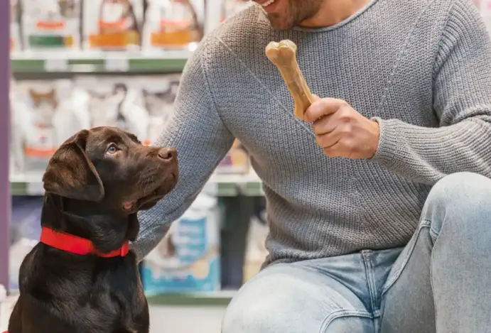 Pequenos negócios do mercado pet crescem 22% em dois anos