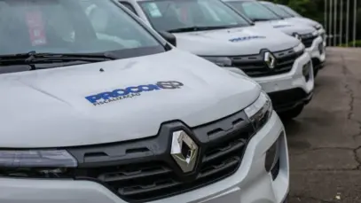 Operação do Procon-SP encontra irregularidades em quase metade dos pet shops fiscalizados