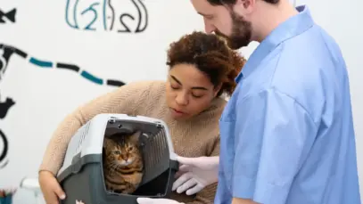 SUS para cães e gatos vira realidade em capital brasileira